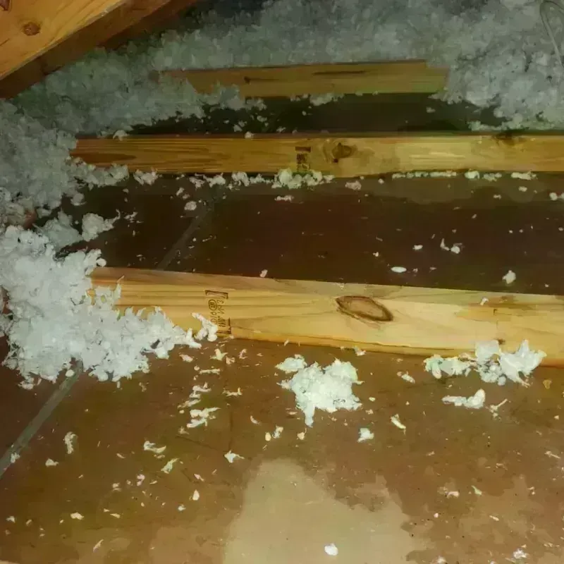 Attic Water Damage in Franklin, VA