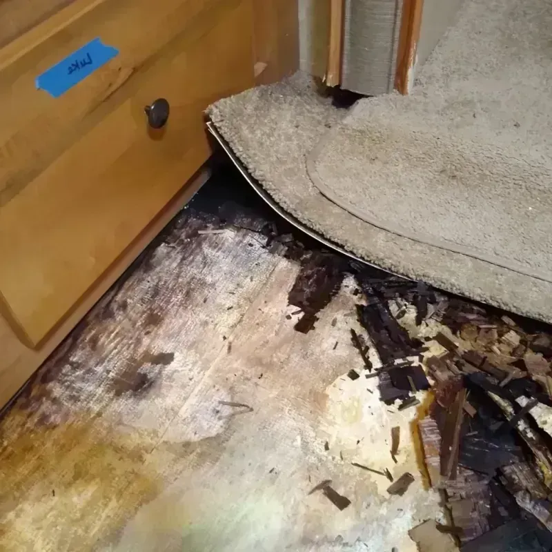 Wood Floor Water Damage in Franklin, VA